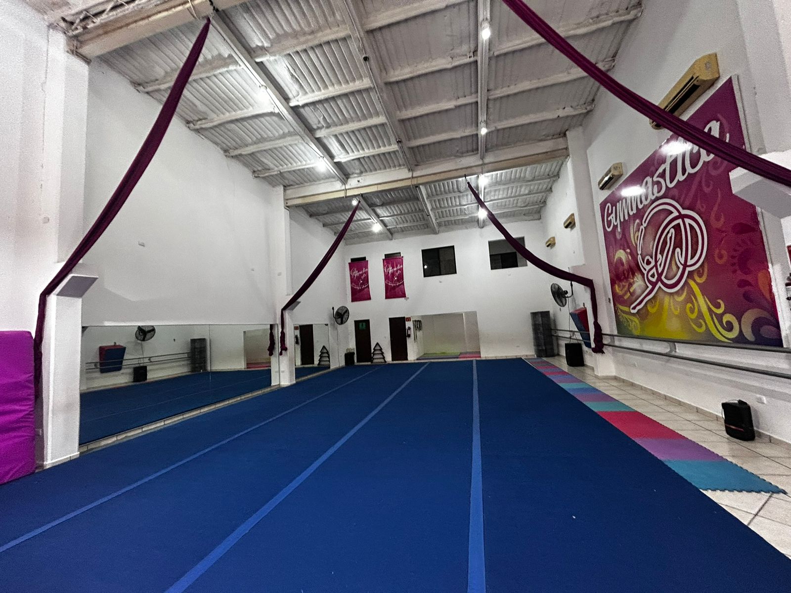 Vista principal que reciben las alumnas al entrar a Gymnastica